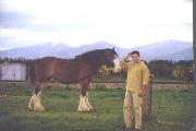 nz3p.JPG (1886 bytes)