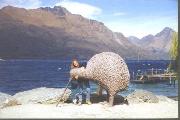 nz5p.JPG (2310 bytes)